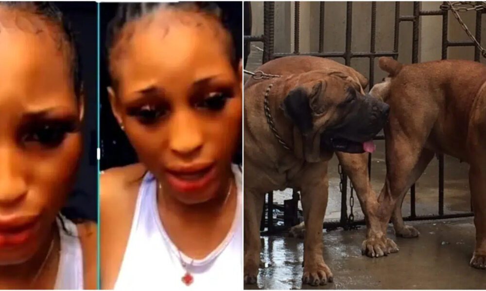 African Dog Sex - Sad As Girl Captured In Viral Dog-Sex Video Dies Leaving Lessons For Others  To Learn -By Sandra Ijeoma Okoye â€“ Opinion Nigeria