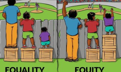 Equity and equality
